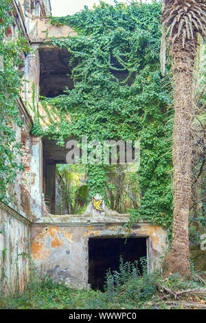 Casa con ivy, abbandonata con Manor Park Foto Stock