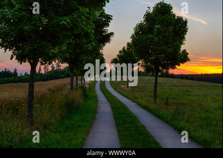 Sentiero escursionistico vicino Güntersberge nel Harz tramonto Foto Stock