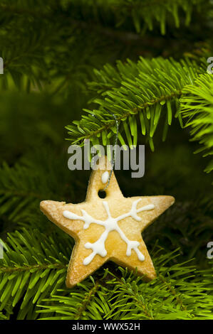 Forma a stella pane breve cookie nella struttura ad albero di Natale Foto Stock