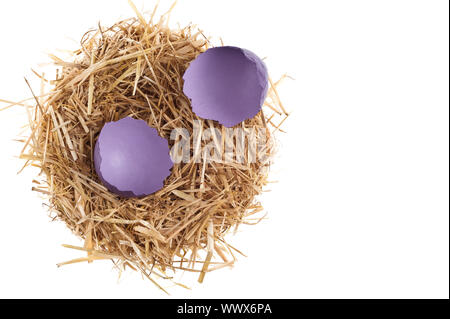 Nido di paglia con gusci di uova rotti su bianco studio shoot Foto Stock