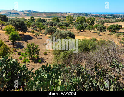 Vista dalla Valle dei Templi, Agrigento, Sicilia, Italia Foto Stock