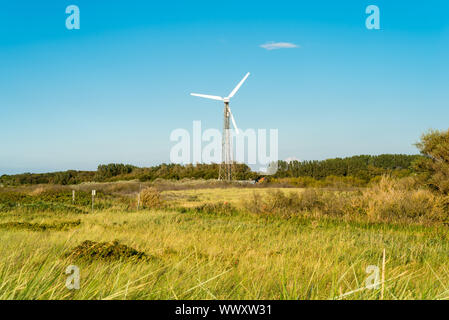 Il potere di vento sulla costa del Mar Baltico nel nord della Germania Foto Stock