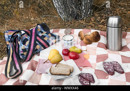 La prima colazione nel bosco durante la raccolta di funghi. Foto Stock