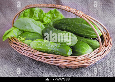 Cesto di cetrioli su tessuto di lino. Foto Stock