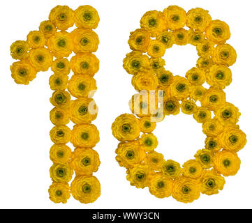 Numero arabo 18, diciotto, dal giallo dei fiori di ranuncolo, isolato su sfondo bianco Foto Stock