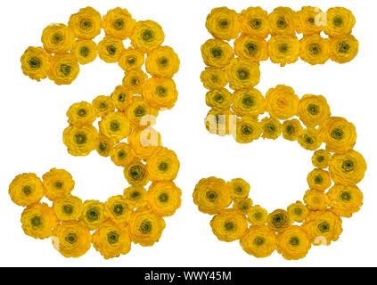 Numero arabo 35, trentacinque, dal giallo dei fiori di ranuncolo, isolato su sfondo bianco Foto Stock