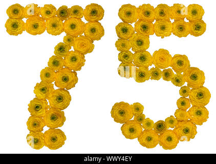 Numero arabo 75, settantacinque, dal giallo dei fiori di ranuncolo, isolato su sfondo bianco Foto Stock