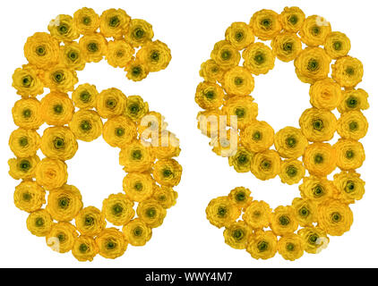 Numero arabo 69, sessanta nove, dal giallo dei fiori di ranuncolo, isolato su sfondo bianco Foto Stock