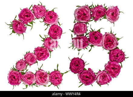 Numero arabo 25, venticinque, dal rosso dei fiori di rosa, isolato su sfondo bianco Foto Stock