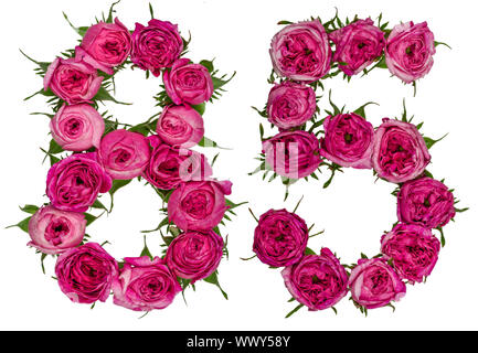 Numero arabo 85, ottanta cinque, dal rosso dei fiori di rosa, isolato su sfondo bianco Foto Stock