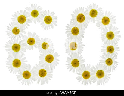 Numero arabo 60, sessanta, dal bianco dei fiori di camomilla, isolati su sfondo bianco Foto Stock