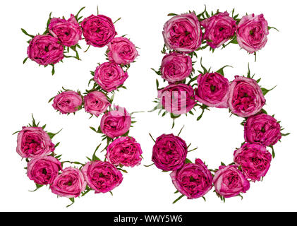 Numero arabo 35, trentacinque, dal rosso dei fiori di rosa, isolato su sfondo bianco Foto Stock