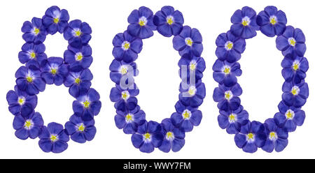 Numero arabo 800, otto per cento, dai fiori blu di lino, isolato su sfondo bianco Foto Stock