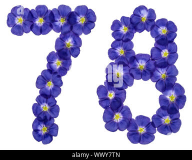 Numero arabo 78, settantotto, dai fiori blu di lino, isolato su sfondo bianco Foto Stock