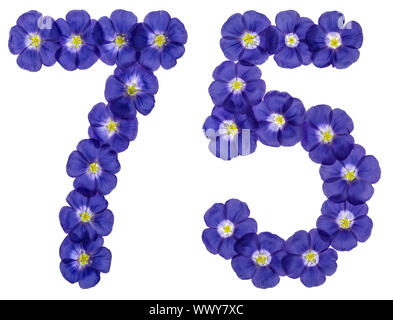 Numero arabo 75, settantacinque, dai fiori blu di lino, isolato su sfondo bianco Foto Stock