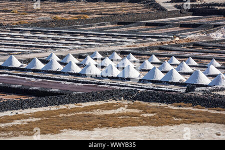 Salinas de Janubio, saline a Lanzarote, Isole Canarie, Spagna Foto Stock