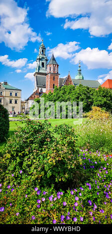 Wawel castello medievale in Cracovia in Polonia. Basilica di San Stanislao e Vaclav o cattedrale di Wawel sul colle di Wawel con fiori colorati in primo piano Foto Stock