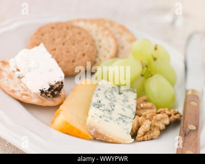 Piatto di formaggi e biscotti Foto Stock