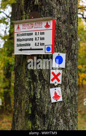 Impressioni autunnali dal Selketal nelle montagne Harz Foto Stock