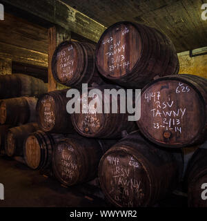 Porta botti di vino nella cantina, Vila Nova de Gaia, Porto, Portogallo Foto Stock