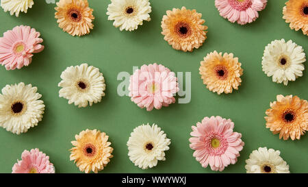 Bellissimo modello di bright diversi fiori di gerbera su uno sfondo verde. Foto Stock