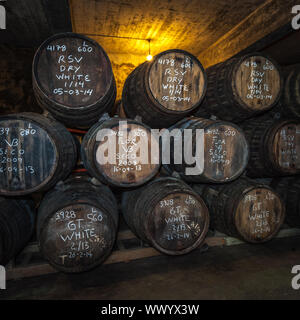 Porta botti di vino nella cantina, Vila Nova de Gaia, Porto, Portogallo Foto Stock