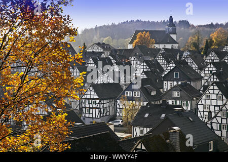 Alter Flecken, centro storico della città con tipiche case a graticcio in collezione autunno, Freudenberg, Germania Foto Stock