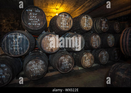 Porta botti di vino nella cantina, Vila Nova de Gaia, Porto, Portogallo Foto Stock