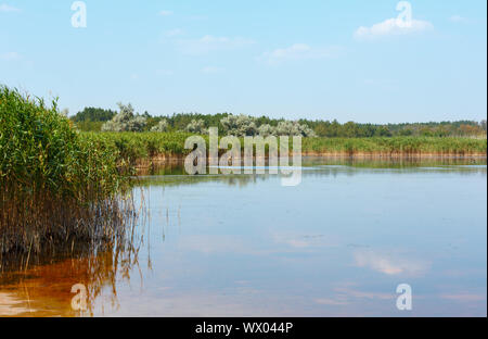 In estate il lago di iodio con un effetto terapeutico grazie al suo alto contenuto di iodio, Ucraina Foto Stock