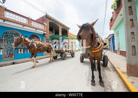 Cavalli carrelli di trascinamento lungo una strada in Trinidad, Cuba, West Indies, dei Caraibi e America centrale Foto Stock