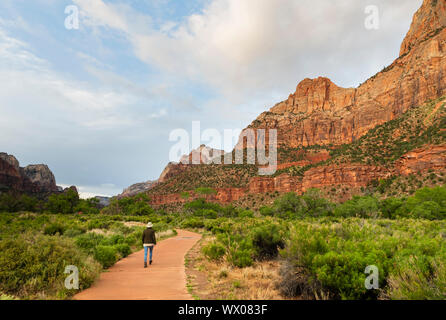 Escursionismo Il Pa'rus trail, Parco Nazionale Zion, Utah, Stati Uniti d'America, America del Nord Foto Stock