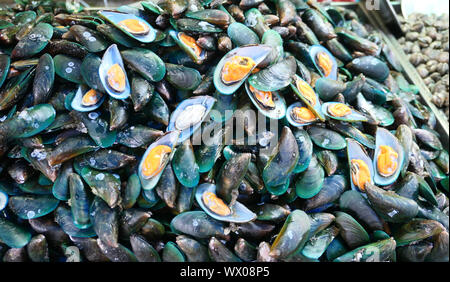 Crudo fresco di cozze Foto Stock