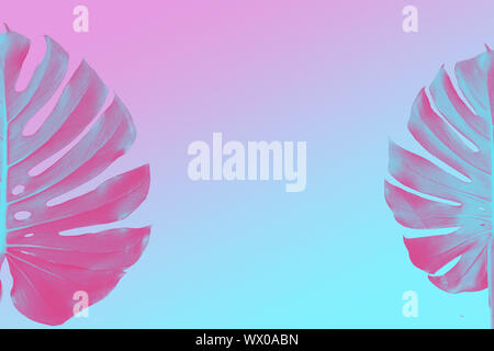 Monstera due foglie come confine isolati su ultra violetta, rosa e blu sullo sfondo bicromatica Foto Stock