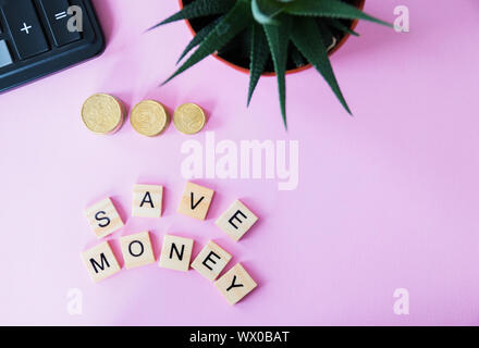 Il futuro della finanza, business banking e concetto finanziario. Flatlay centesimi di Euro e lettere di cubi di risparmiare denaro, calcolatrice e pianta in vaso in rosa co Foto Stock