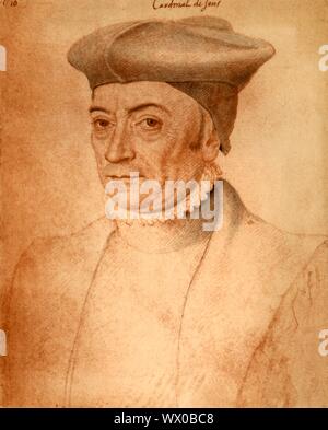 Jean de Bertrand, inizio a metà del XVI secolo. Ritratto di chierico francese Jean de Bertrand (1482-1560), cardinale di Sens. Foto Stock