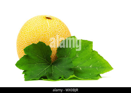 Melone Galia isolato su bianco Foto Stock