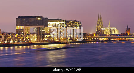 Costruzioni di gru a Reno con la cattedrale di Colonia al crepuscolo, Colonia, nella Renania, Germania, Europa Foto Stock