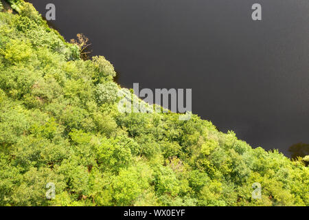 Vista aerea della foresta verde sulla riva del lago Foto Stock
