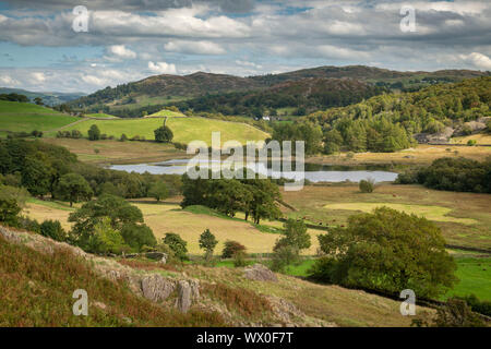 Little Langdale Valley nel Parco Nazionale del Distretto dei Laghi, Sito Patrimonio Mondiale dell'UNESCO, Cumbria, England, Regno Unito, Europa Foto Stock