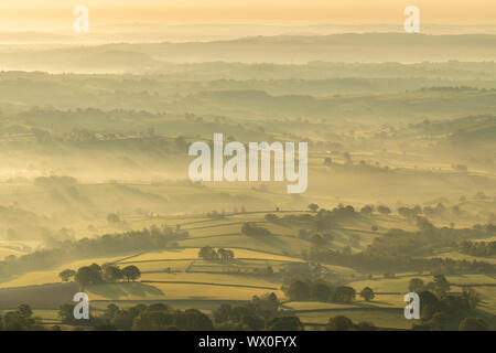 Nebbia copriva campagna di laminazione all'alba, Abergavenny, Wales, Regno Unito, Europa Foto Stock