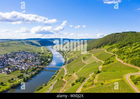 La Mosella a Trittenheim, Valle della Mosella, Renania-Palatinato, Germania, Europa Foto Stock