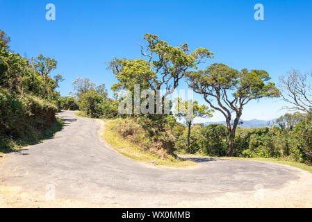 Asciugare la foresta tropicale e foresta monsonica sulla via di Horton Plains in Sri Lanka Foto Stock