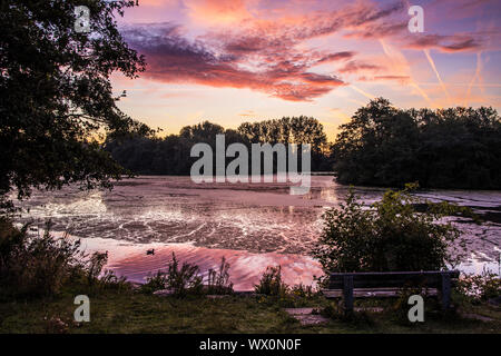 Tramonto su un piccolo lago noto come Liden Lagoon a Swindon, Wiltshire. Foto Stock