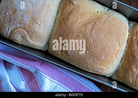 In casa croccante pane bianco fresco dal forno Foto Stock