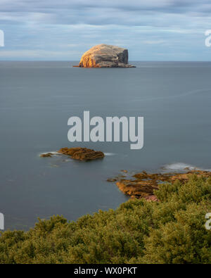 Bass Rock in prima serata luce, Firth of Forth, East Lothian, Scozia, Regno Unito, Europa Foto Stock