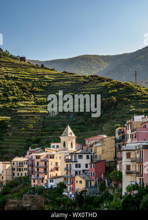 Manarola, Cinque Terre, Sito Patrimonio Mondiale dell'UNESCO, Liguria, Italia, Europa Foto Stock