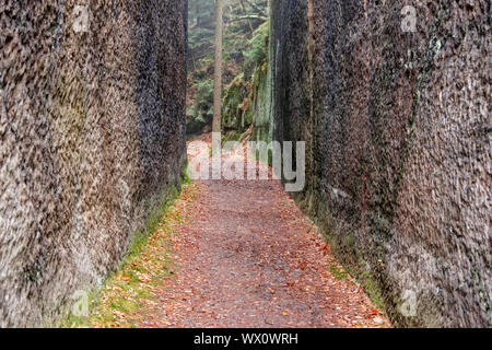 Paesaggio fotografie da Zittau Montagne Jonsdorfer Felsenstadt Foto Stock