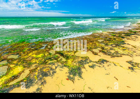 Piscina Mettams con la bassa marea, il calcare bay sicuro per lo snorkeling. Trigg Beach in spiaggia Nord vicino a Perth, WA. Mettam's è una roccia naturale piscina Foto Stock