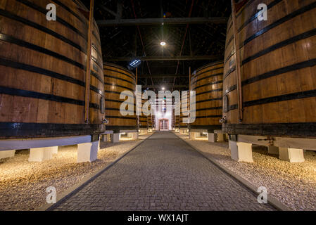 Porta botti di vino nella cantina, Vila Nova de Gaia, Porto, Portogallo Foto Stock