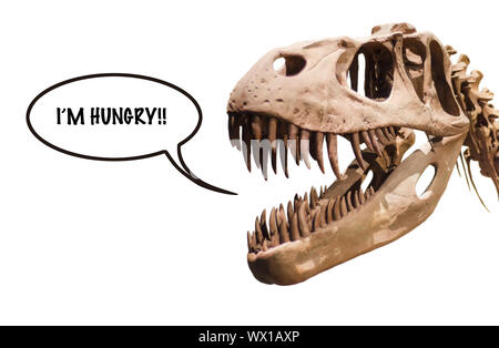 Tyrannosaurus Rex testa con il pensiero di ballon con la parola ho fame!! Bianco su sfondo isolato con copyspace. Foto Stock